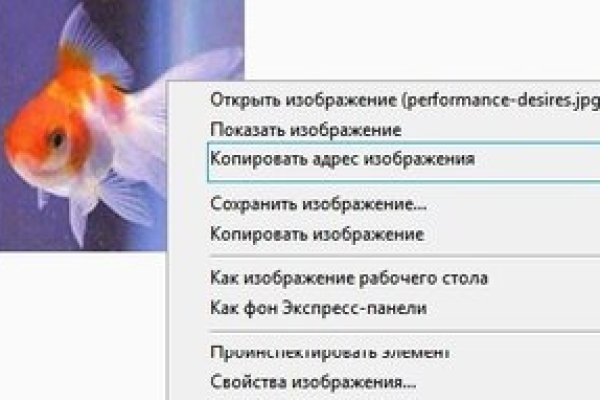 Только через тор кракен